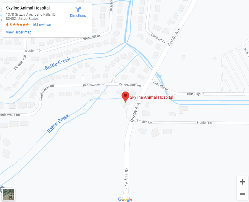 Idaho Falls, ID Veterinarian Skyline Animal Hospital